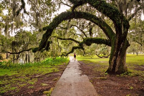New orleans city park - Explore the natural and cultural wonders of City Park with your family. Enjoy mini golf, paddle boats, carousel, Storyland, museum, botanical garden and more.